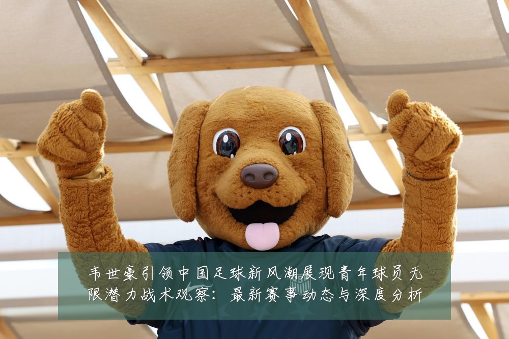 韦世豪引领中国足球新风潮展现青年球员无限潜力战术观察:最新赛事动态与深度分析